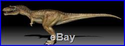 1.2 Albertosaurus Fossil Tooth Serrated Tyrannosauridae Cretaceous Dinosaur COA