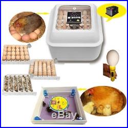 100 Egg Chicken Incubator Large, Digital & Auto, Battery & Solar powered