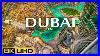 Dubai United Arab Emirates 8k Video Ultra Hd 240 Fps In Drone