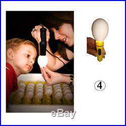 Egg chicken Incubator, Artificial mother Drinker Candling torch solar battery
