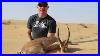 Gazelle Hunting In The United Arab Emirates