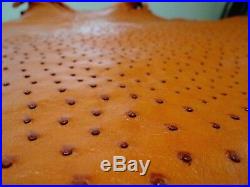 NEW Grade A 100% Genuine Ostrich Skin Finished Leather (Cognac) (15.5 Sqft)