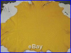NEW Grade B 100% Genuine Ostrich Skin Finished Leather (Yellow) (17 Sqft)