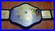 NWA HEAVYWEIGHT Wrestling Championship Belt Adult Size 2mm Plate