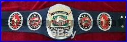 NWA Television Wrestling Championship Belt 4mm Plates
