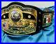 NWA World Heavyweight Wrestling Champion Belt 4mm Zinc Plates