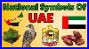 National Symbols Of Uae Learn About Uae General Knowledge About United Arab Emirates For Kids