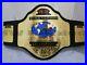 WCW World Television Wrestling championship Belt Adult Size 2mm Plates