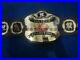 WWE Tag Team World Wrestling Entertainment Championship Wrestling Belt